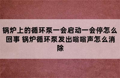 锅炉上的循环泵一会启动一会停怎么回事 锅炉循环泵发出嗡嗡声怎么消除